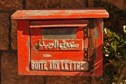 syria (4).jpg
